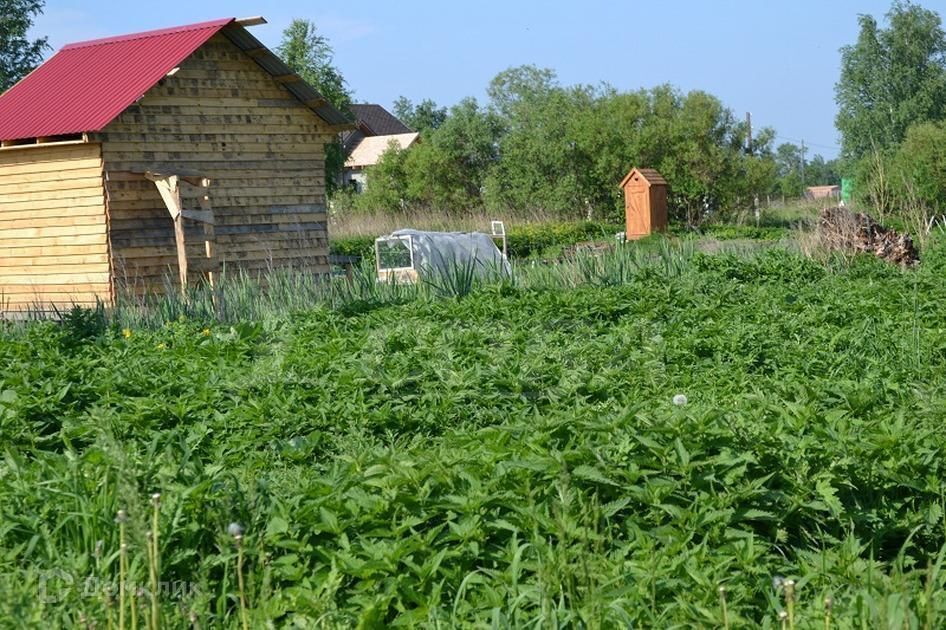 земля р-н Нижнетавдинский ТСН Строитель, 10-я Садовая улица, 427 фото 3