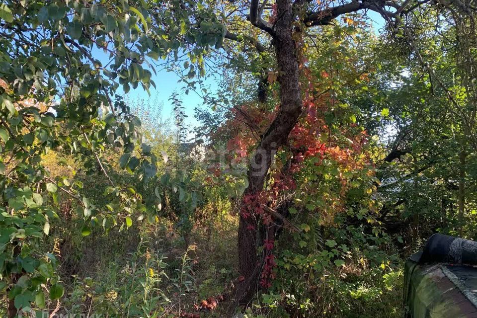 земля г Калининград городской округ Калининград, СНТ Октябрьское фото 5