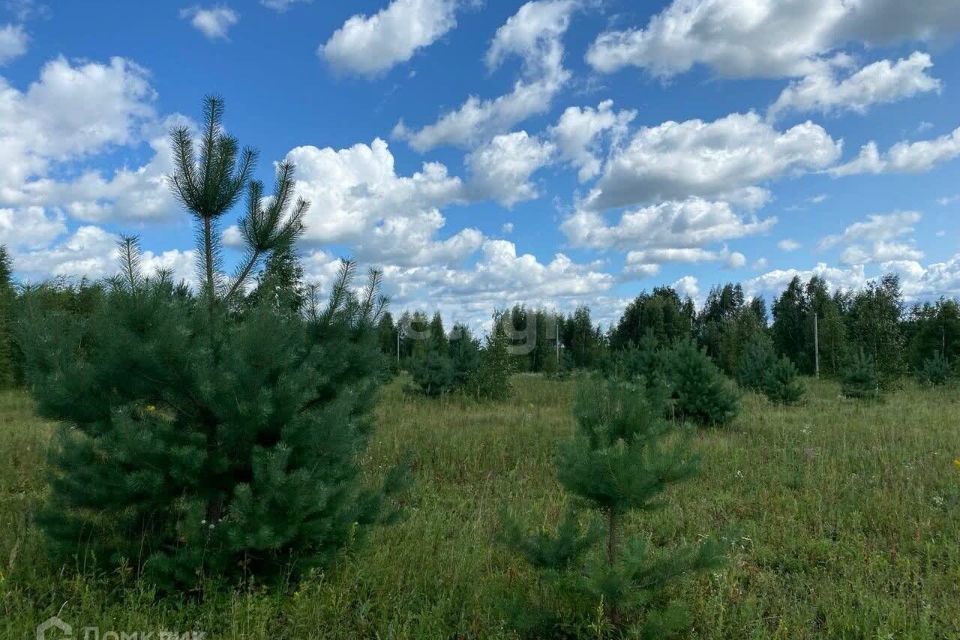 земля р-н Некрасовский с Диево-Городище ул Некрасовская фото 5