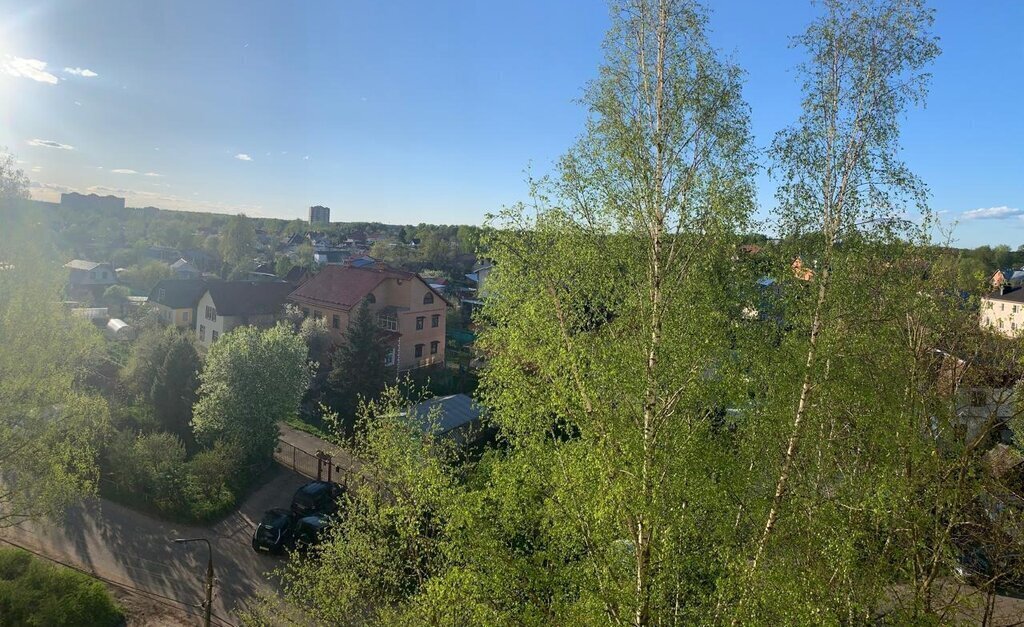 квартира городской округ Истра г Дедовск ул Маршала Жукова 2 Нахабино фото 3