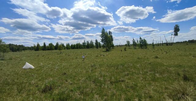 Саккуловское сельское поселение, Долгодеревенское фото