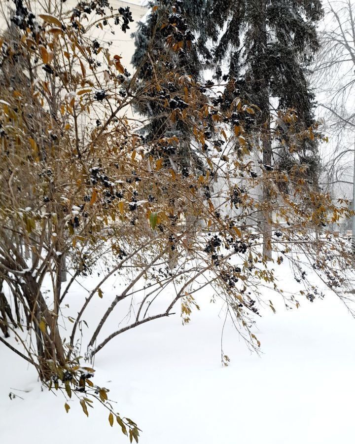 земля городской округ Волоколамский д Федосьино 103 км, Волоколамск, Минское шоссе фото 8