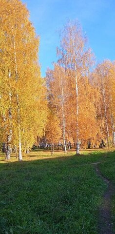 Приволжское сельское поселение, Волга фото