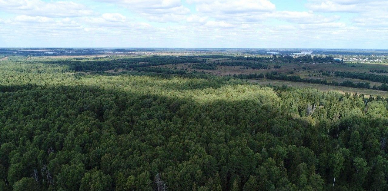 земля р-н Конаковский с Городня фото 4