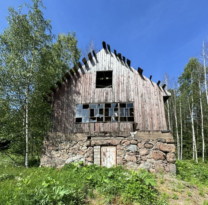 земля р-н Выборгский Приморское городское поселение фото 12