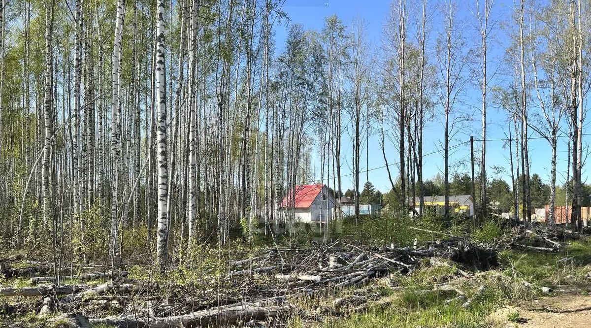 земля р-н Череповецкий д Городище Югское муниципальное образование фото 9