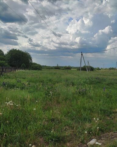 земля д Сырково Ермолинское сельское поселение, Великий Новгород фото
