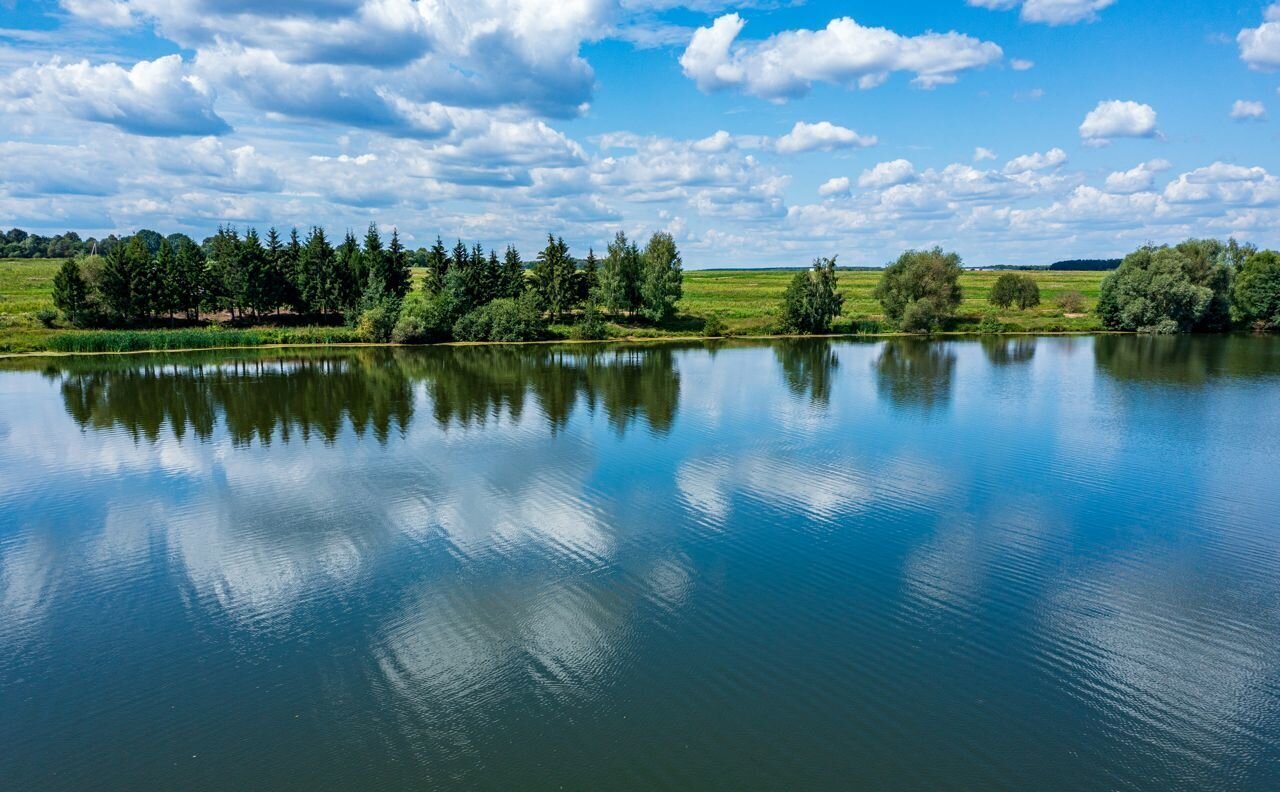 земля городской округ Богородский д Кутузово 9751 км, Журавлиная ул, г. о. Домодедово, Новокаширское шоссе фото 5