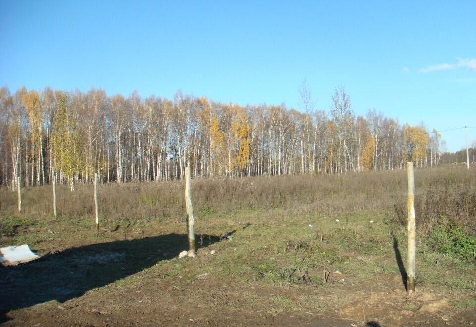 земля р-н Зеленодольский с Бело-Безводное Осиново фото 4