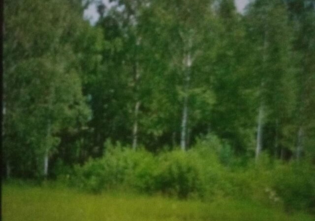 земля д Якунники снт Незабудка Покровское сельское поселение, Рыбинск, садоводческое товарищество фото