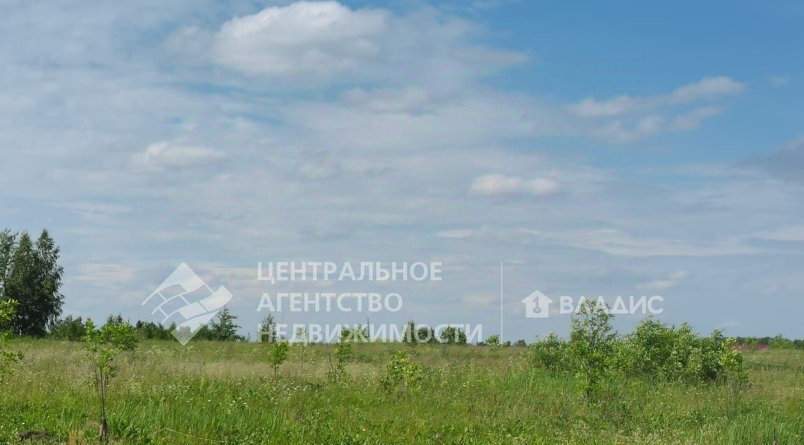 земля р-н Рязанский с Вышетравино Окское с пос фото 5