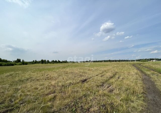 земля с Миасское Козыревское сельское поселение фото