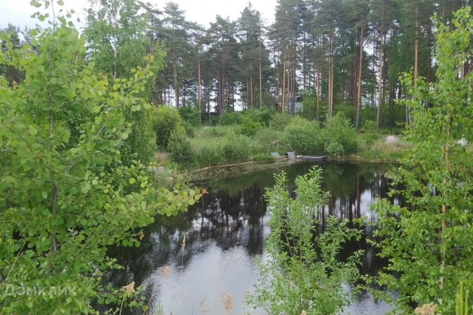 земля р-н Всеволожский Рахьинское городское поселение фото 4