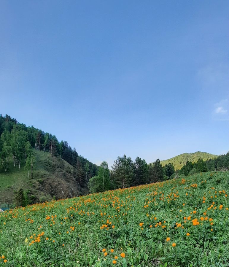 земля р-н Чемальский территория Урочище Каратурук, Горно-Алтайск фото 3