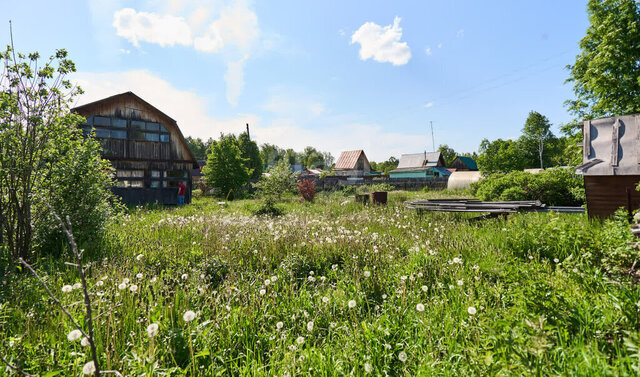 Богашёвское сельское поселение, садовое товарищество Кедр фото