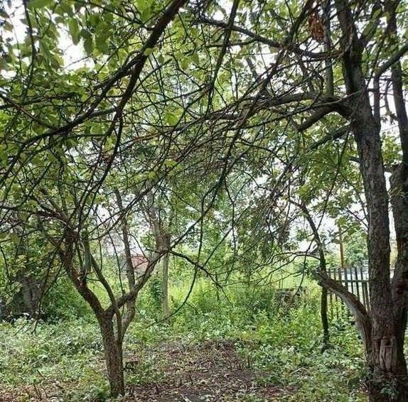 земля г Самара Безымянка снт Ракитовка ул. 12-я, 63 фото 5