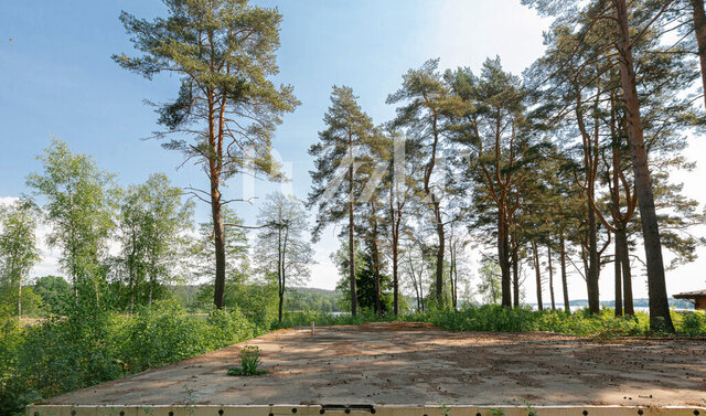 земля Громовское сельское поселение, коттеджный посёлок Мишкин лес фото