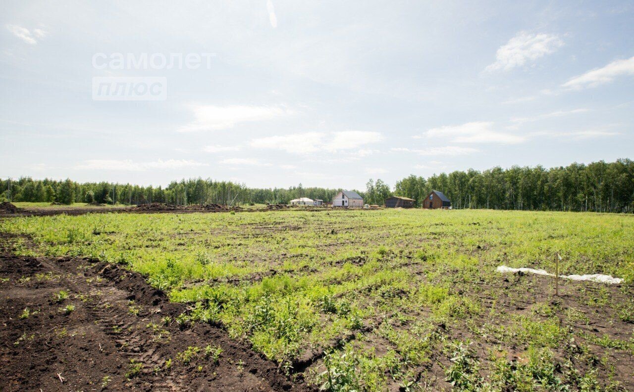 земля р-н Сосновский д Осиновка ул Полевая Челябинск фото 5