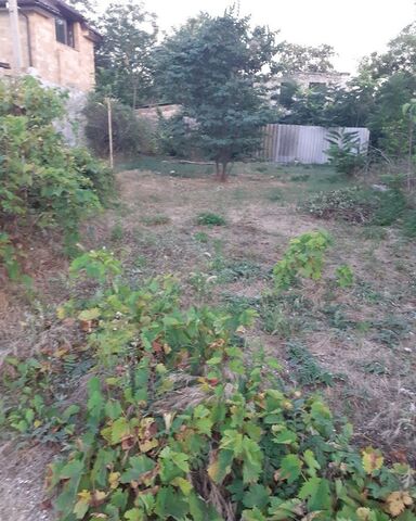 земля садоводческое товарищество Дружный, 101, Крым фото