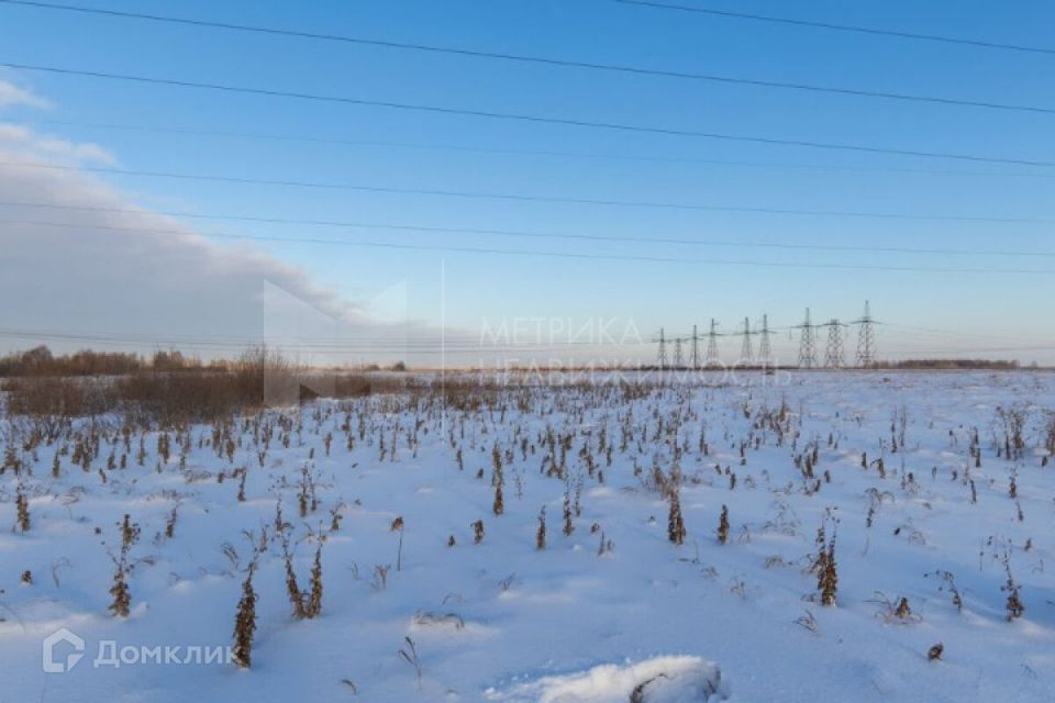 земля р-н Нижнетавдинский садоводческое некоммерческое товарищество Берёзка фото 2