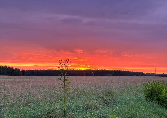 земля Пригородное сельское поселение, Нерехта фото