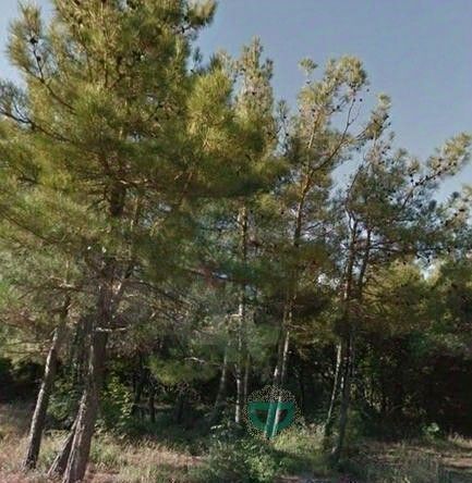 земля г Геленджик Голубая Бухта мкр Голубая бухта фото 1