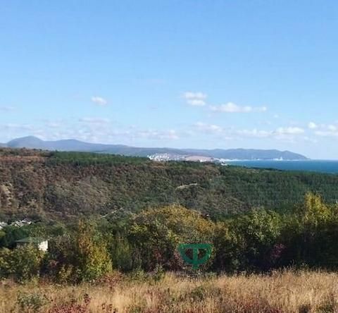 земля г Геленджик СНТ Голубая Долина тер фото 1