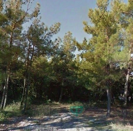 земля г Геленджик Голубая Бухта мкр Голубая бухта фото 2