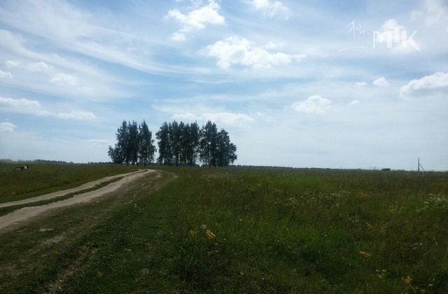 Большеякинское сельское поселение, Осиново фото