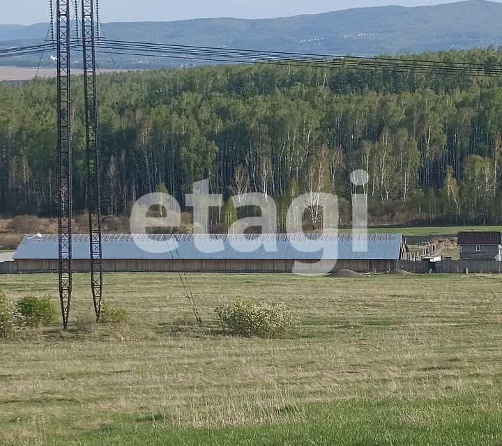 земля р-н Емельяновский Элитовский сельсовет фото 8