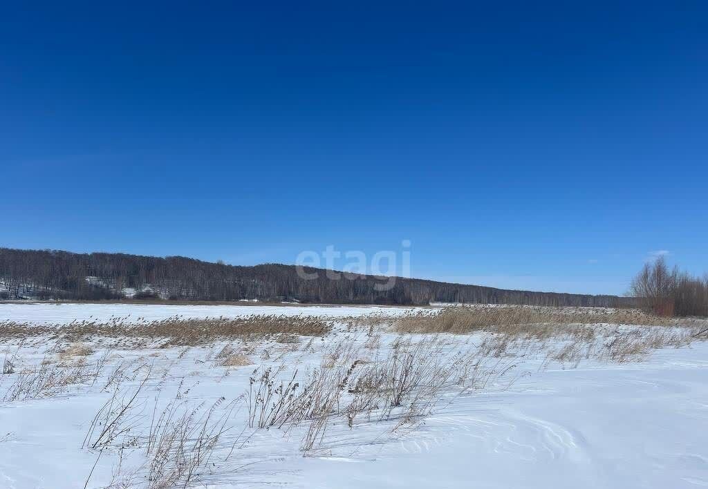 дом р-н Колыванский д Чаус Колывань фото 7