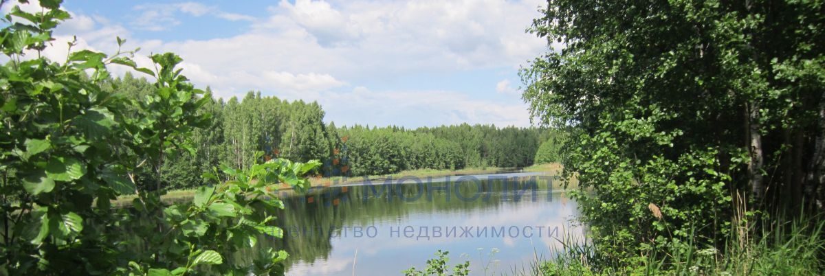 земля р-н Городецкий д Петухово (Федуринский с/с) фото 3