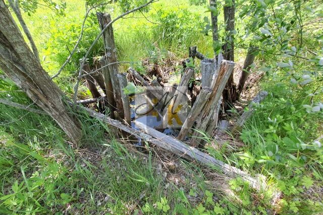 земля ул Солнечная 15 Сосновоборский городской округ фото