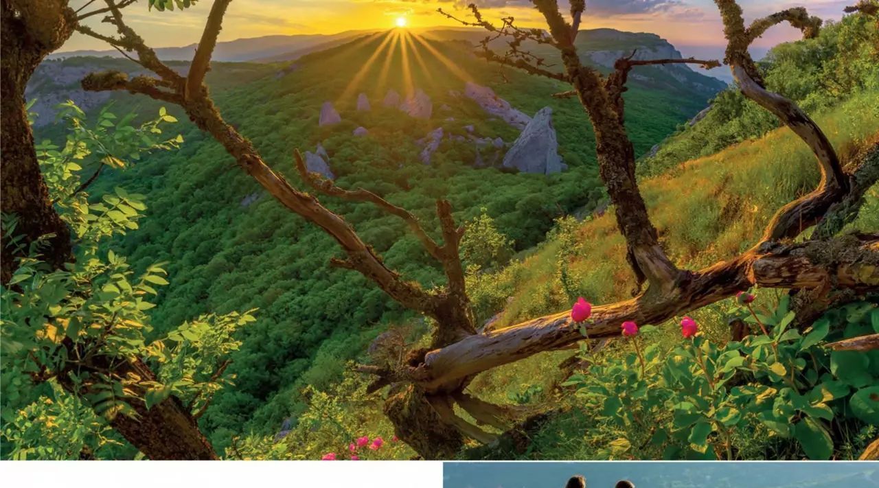 квартира г Ялта пгт Ливадия ул Виноградная фото 13
