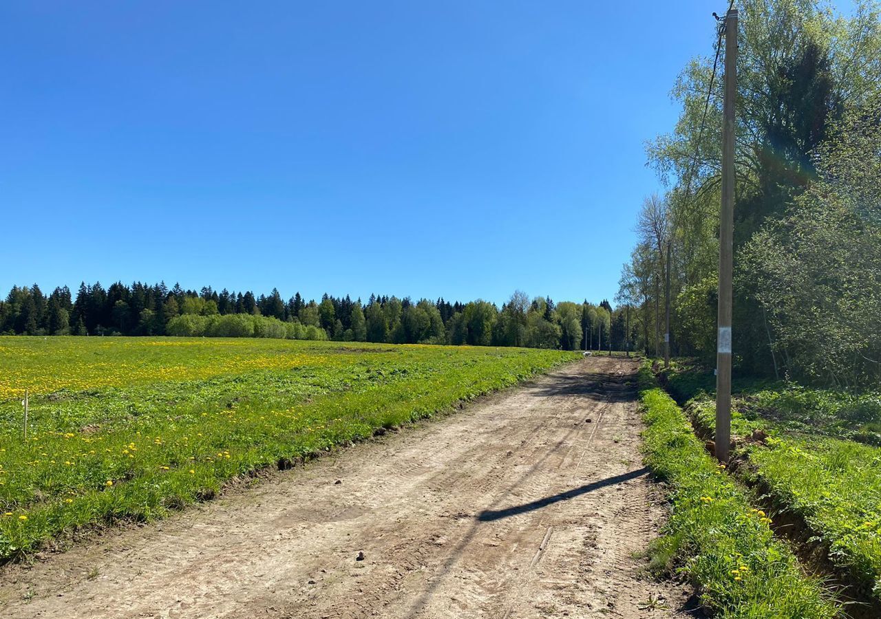 земля городской округ Истра д Давыдково г. о. Истра, Новопетровское фото 17