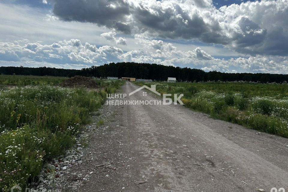 земля городской округ Домодедово коттеджный посёлок Репино, 182 фото 4