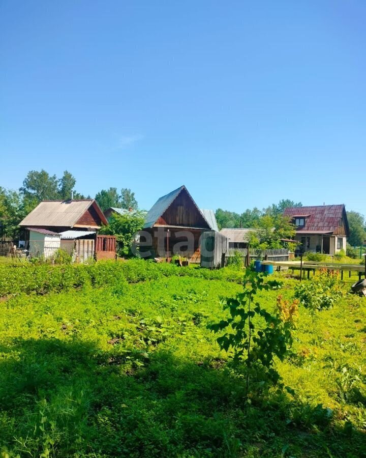 земля р-н Первомайский п Покровка Новоалтайск, некоммерческое садоводческое товарищество Строитель фото 4