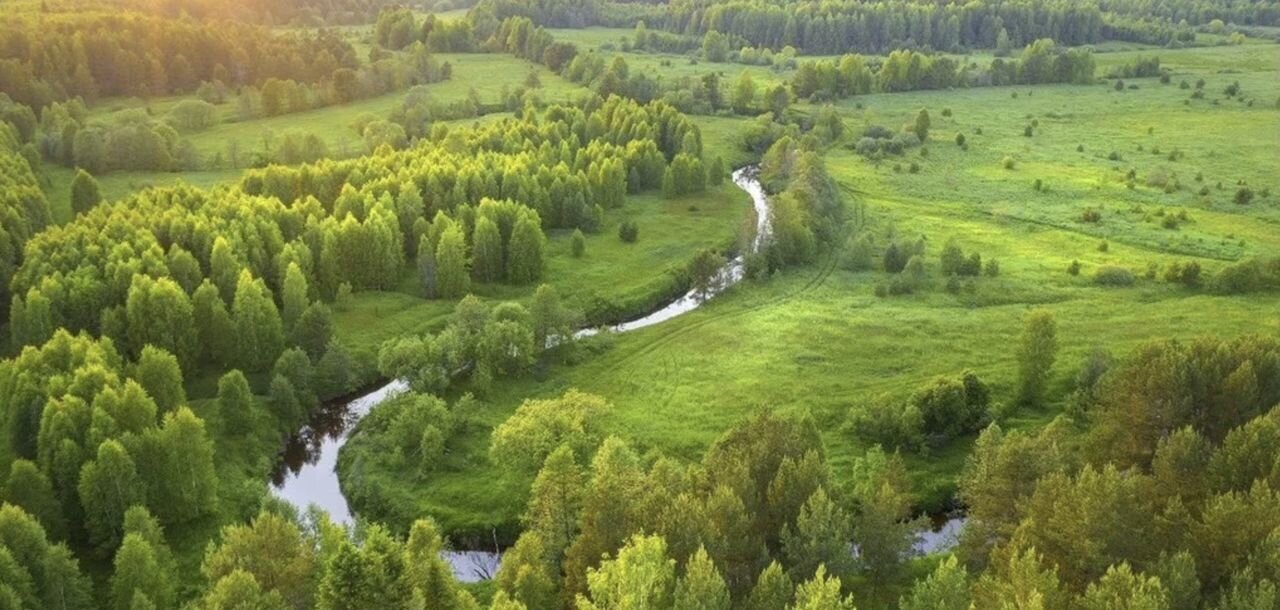 земля р-н Навашинский Кулебаки фото 1