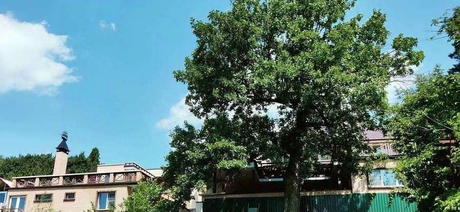 дом г Самара с Задельное ул Советская 11 р-н Красноглинский фото 40