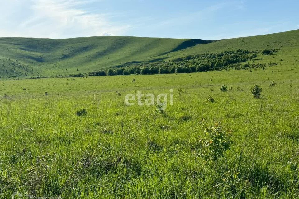 земля р-н Майминский село Подгорное фото 3