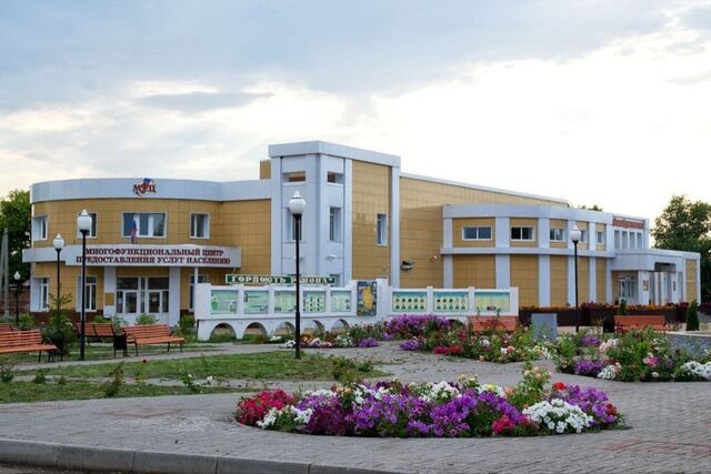 дом село Пичаево фото