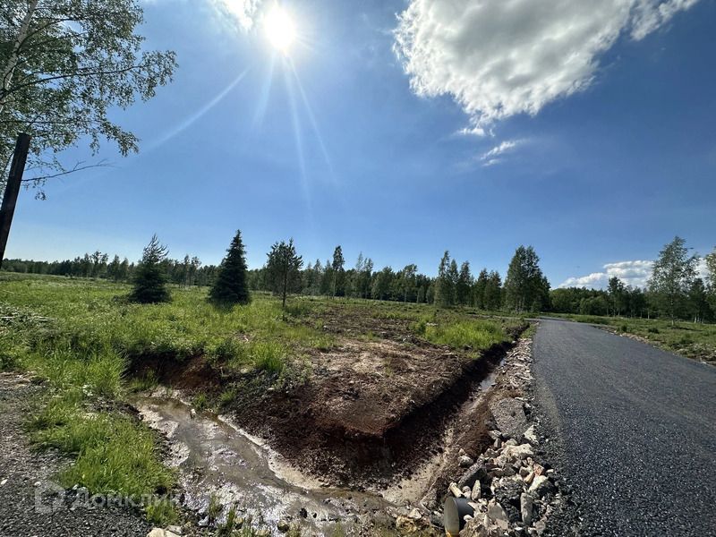 земля р-н Всеволожский деревня Никитилово фото 4