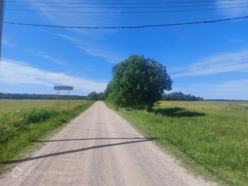 земля р-н Волосовский д Коростовицы 36 фото 9