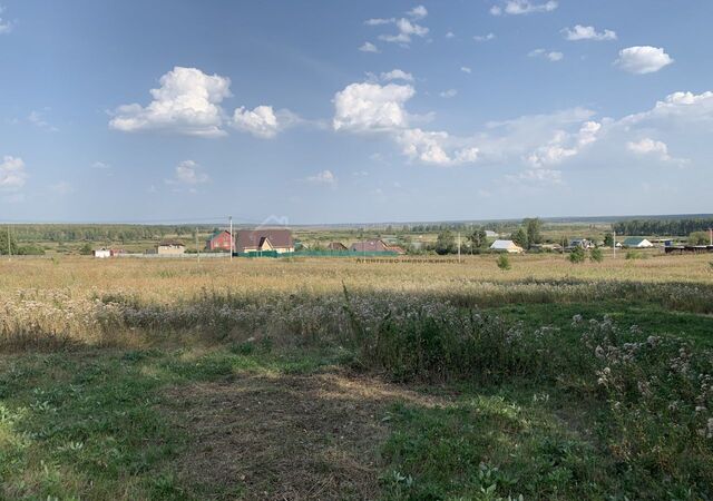 земля с Полетаево 1-е ул Центральная Полетаевское сельское поселение, Полетаево фото