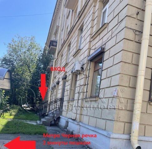 Черная Речка ул Савушкина 12 фото