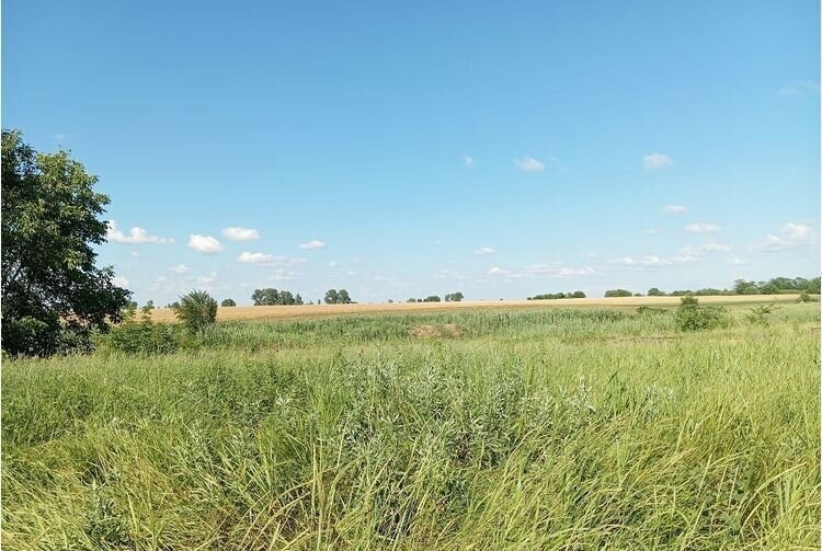 земля р-н Северский с Львовское Львовское сельское поселение фото 3