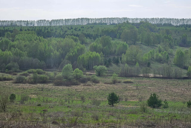 земля д Никольское Большеякинское сельское поселение фото