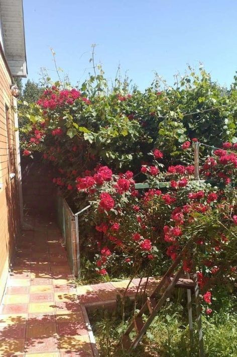 дом г Астрахань р-н Ленинский пер Набережный фото 33