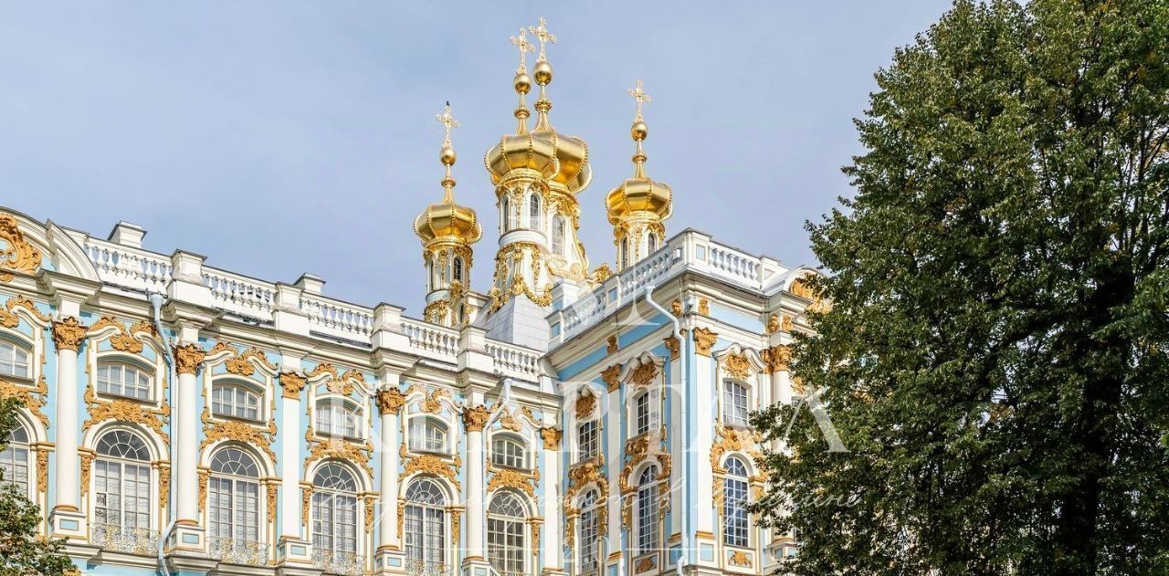 квартира г Пушкин ул Новая 20 Шушары фото 9