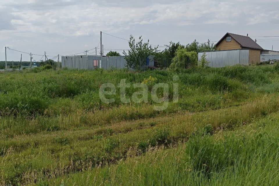 земля р-н Рамонский с Русская Гвоздевка ул Кирова фото 8